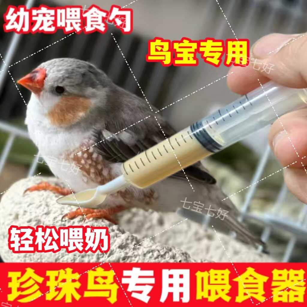 幼鸟小鹦鹉珍珠鸟喂奶工具图片