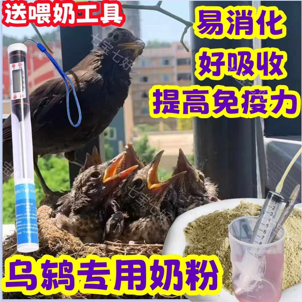 乌鸫鸟奶粉】雏鸟手喂食乌鸫幼鸟奶粉小鸟喂食器玉鸟黄雀雏鸟饲料