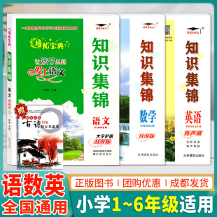 培优宝典知识集锦集锦语文数学英语升级版 小学语文基础知识手册全国通用小升初总复习学习工具书小学生知识大全语数英考点复习