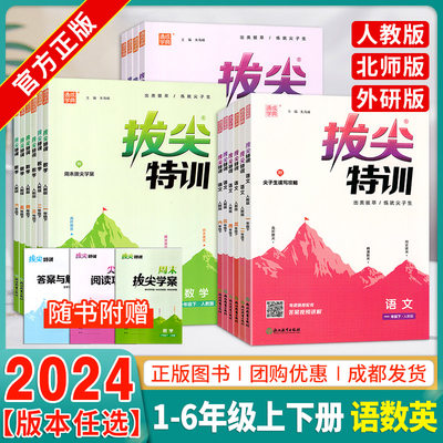 2024春新版小学拔尖特训语数英