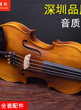 青歌QV202 手工实木小提琴儿童成人初学者练习考级晋级1/2/3/4