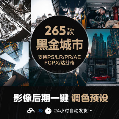 LR/PS预设工业风城市黑金夜景旅街拍胶片人像PR/AE/FCPX/Luts调色