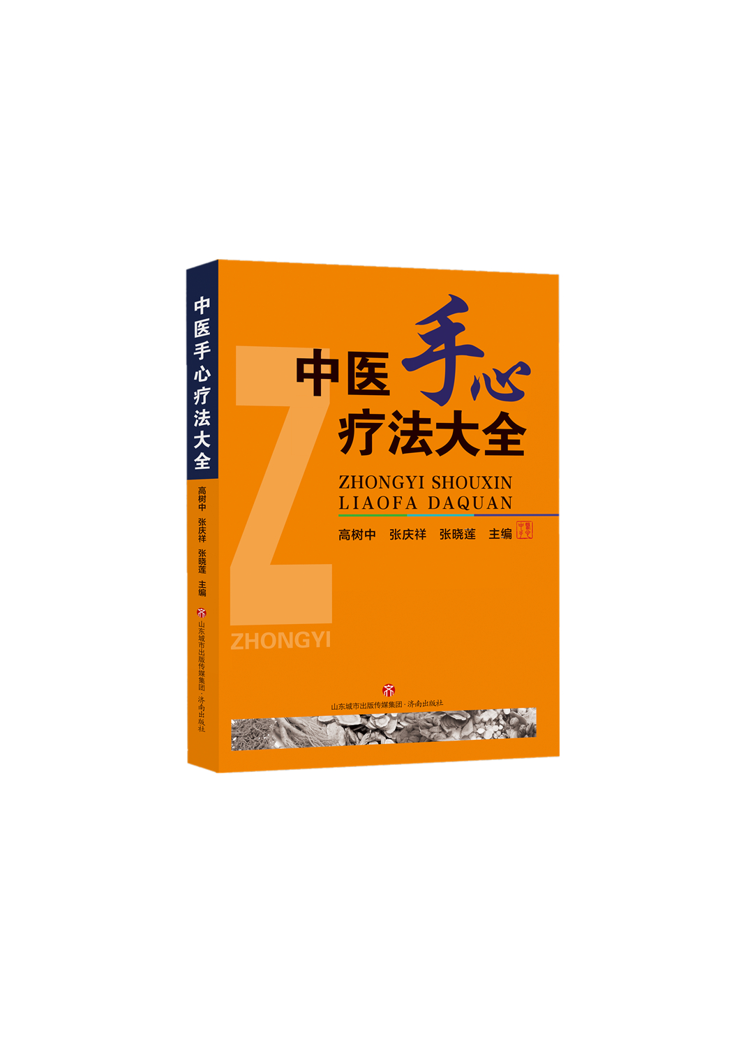 中医手心疗法大全高树中主编