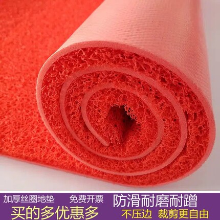 入户门地垫进门门垫家用大门口塑料垫子丝圈蹭脚垫可裁剪防滑地毯