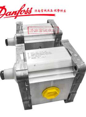 211.25.024.0A SNW3NN/063LN07SLNNA5A4NNNN/NNNNN丹佛斯双联泵