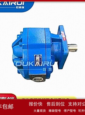 四川长江CBG3125-B1R液压齿轮泵CBG3100/3140/3160/3180-01R/B2R