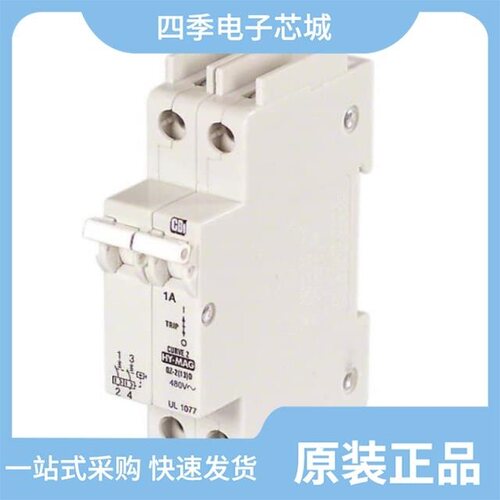 C1A2P-489/C20A1P-80VDC/C20A1P-489