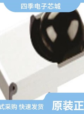 RPMS1401-H19E4A/RPMS2381-H19E4AV/RPR-0521RS