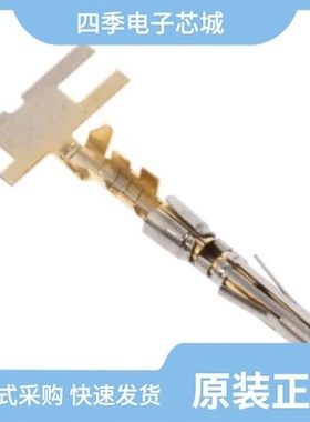 SS20W1F/SS20W2F/SS24M1F