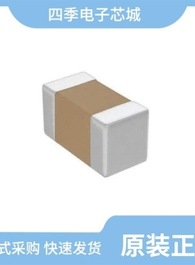 B72714D0160H060/B72724D0160H062/B72724A2170S162