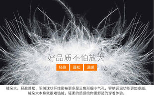 国标90羽绒白鸭绒大朵绒白鹅绒羽绒服制定制品翻新填充物散装 羽绒