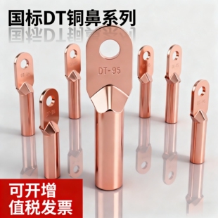铜鼻子DT50端子接头加厚紫铜电缆堵油线耳10 25 95 300大电流接线