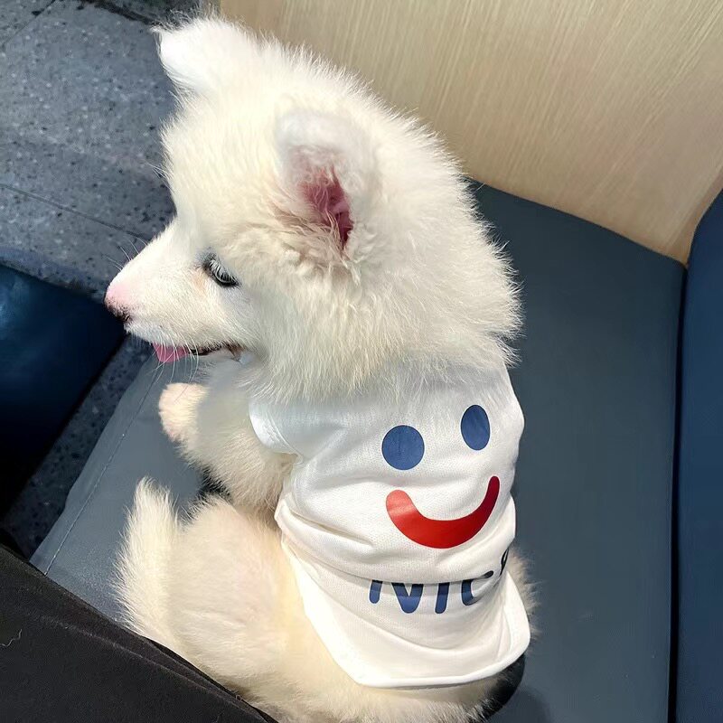 春夏薄宠物衣服博美雪纳瑞猫咪小型幼犬泰迪比熊贵宾狗狗衣服背心