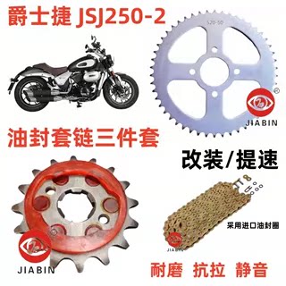套链三件套爵士捷DX250油封链条