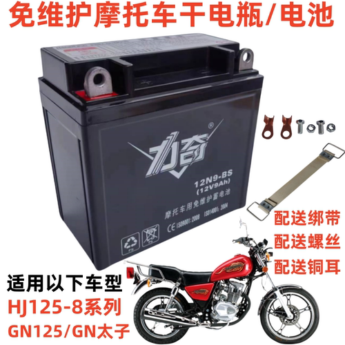 GN太子HJ125-8摩托车统电瓶电池