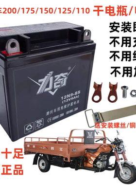 适用隆鑫大阳福田宗申110-175三轮摩托车免维护蓄电池12V9A干电瓶