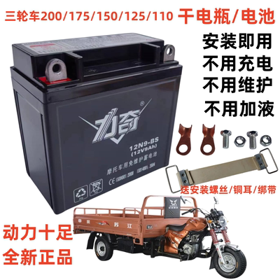 隆鑫大阳福田宗申三轮摩托车电瓶