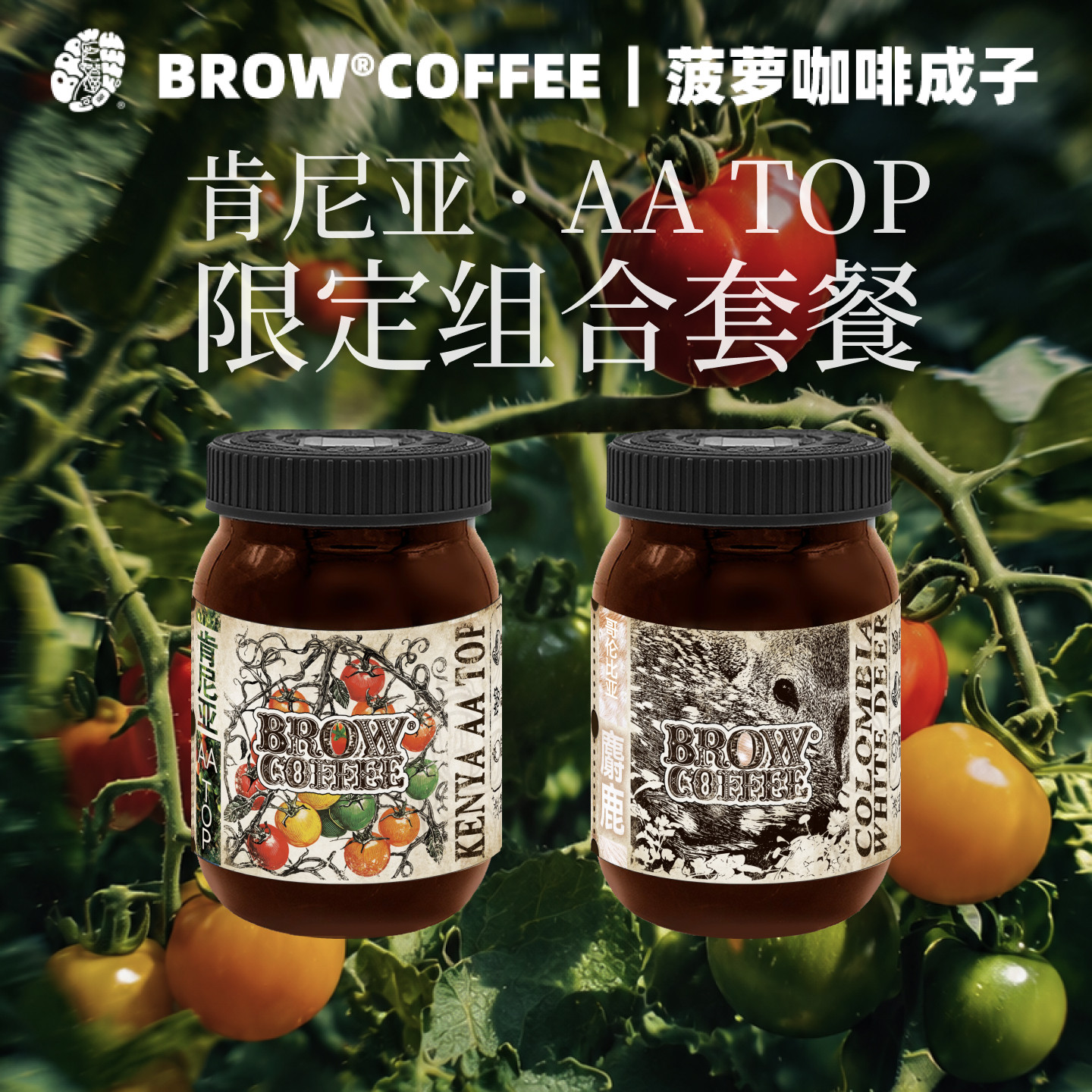 菠萝咖啡成子肯尼亚AATOP限定套餐咖啡豆精品手冲中度烘焙240g