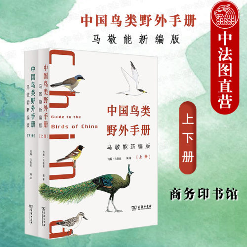 中国鸟类野外手册马敬能新编版