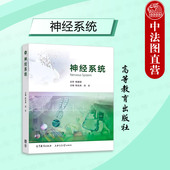 社 中法图正版 高等教育出版 陈生弟周东 神经疾病神经科学基础症状病史采集体格检查辅助检查诊断原则大学本科考研教材 神经系统