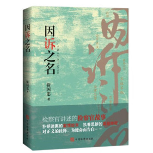 中法图正版 因诉之名 靳国忠 检察题材现实主义小说 检察官职场业态生活实景公诉风采 检察官故事 司法责任制改革 中国检察出版社