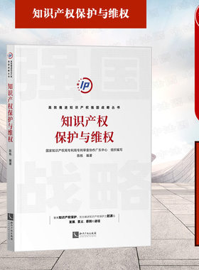 知识产权保护与维权陈栋