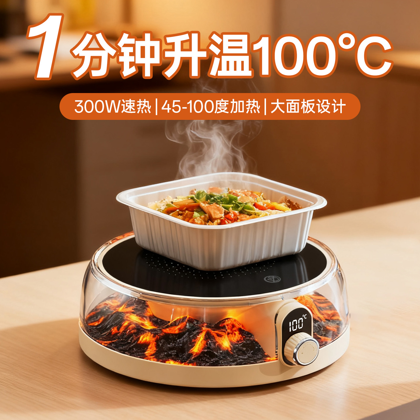 可烧开水100°度恒温发热多档位