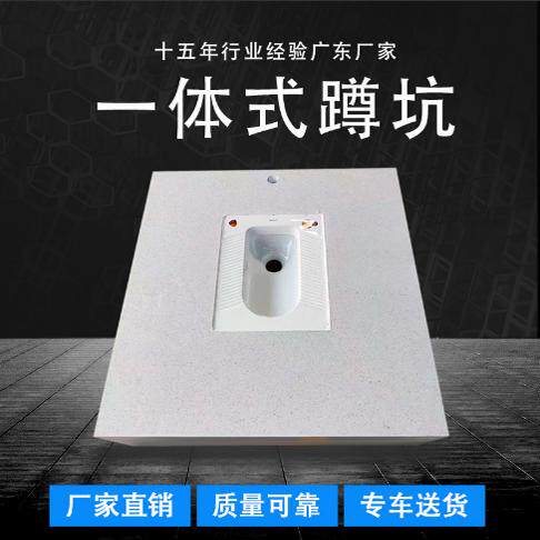 广东广州蹲便器陶瓷户外可移动蹲蹲便器