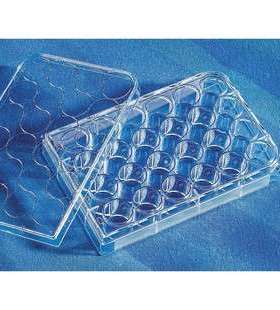 11465Corning康宁实验室耗材三角培养瓶2000ml带橙色转液盖无菌