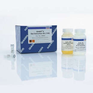 150T 凝胶试剂盒 Qiagen 20021