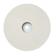 Struers 40800006 40800005 40800200 40800199 40800120磨石