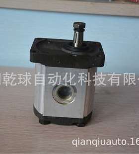 意大利RONZIO 罗茨 02ZMAG20C041YON 液压马达