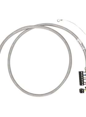 AB 1492-ACABLE150YA Allen Bradley PLC 电缆 于 BULLETIN 1492