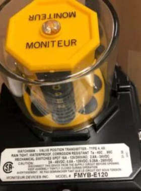 美国Moniteur阀位变送器FFNB-5420系列