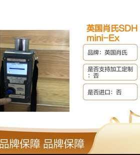 英国肖氏SDHmini-Ex手持式露点仪 追踪测量液晶显示