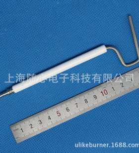 离子探针/火焰探测 BLU170/BLU250用 Ecoflam/意高 燃烧器配件