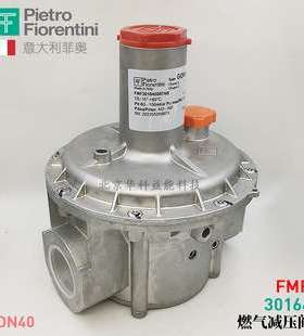 菲奥减压阀FMF301640007AB意大利Pietro Fiorentini调压稳压 DN40
