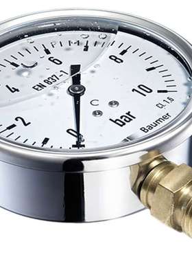 Bourdon MIT5D32B24 布尔东 模拟压力表 16bar 底部入口 100mm 外