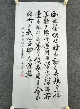 书法字画定制手写真迹励志人生格言卧龙蛰伏待时而动