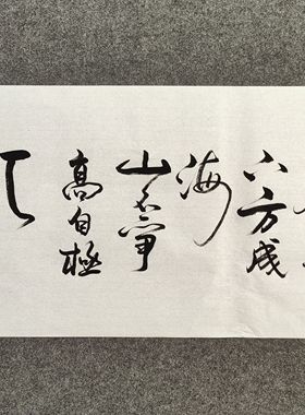 书法字画定制手写真迹毛笔字水能善下方成海山不争高自极天