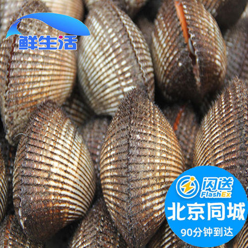 鲜活500g贝类蛤蜊北京闪送