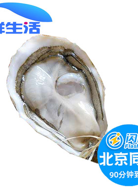 北京闪送 N00 N1 N2 法国进口 红钻生蚝 可生食刺身级 3只起拍
