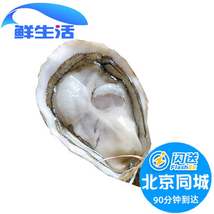 北京闪送 N00 N1 N2 法国进口 红钻生蚝 可生食刺身级 3只起拍