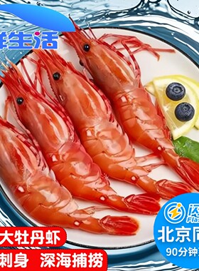 北京闪送 1kg 加拿大进口牡丹虾刺身料理食材深海虾甜虾海鲜水产