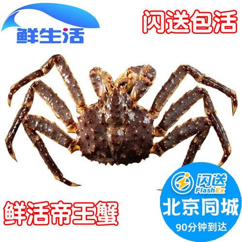 北京闪送4-8斤1只俄罗斯进口鲜活帝王蟹大螃蟹皇帝蟹海鲜水产