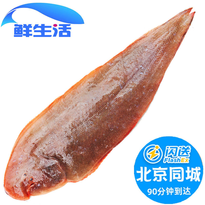 8-2.2斤1条  鲜活鳎目鱼龙利鱼舌头鱼新鲜海鲜水产踏板鱼比目鱼