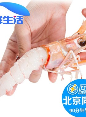 螯虾海鳌虾刺身新西兰海鲜