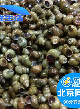 500g新鲜去尾田螺微山湖淡水泥螺