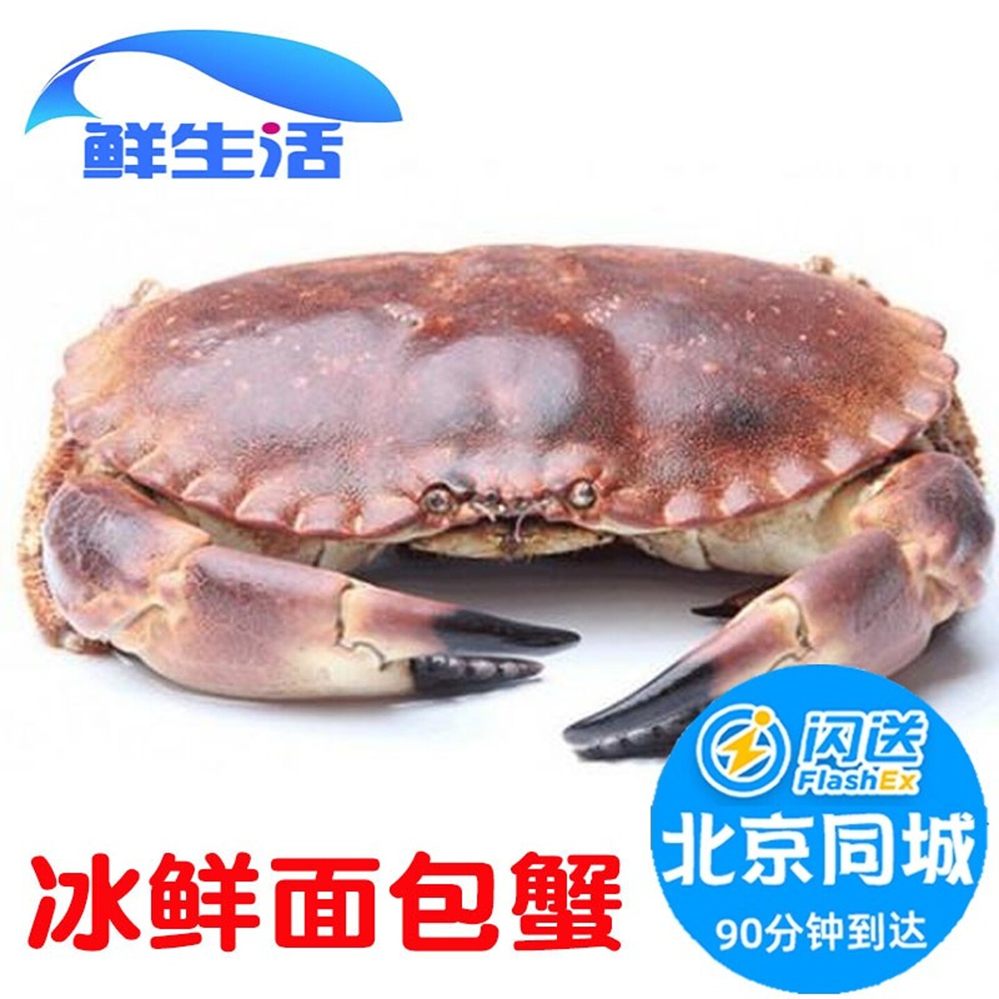 冰鲜面包蟹 生冻新鲜面包蟹 进口海鲜大螃蟹水产香辣蟹600-800g