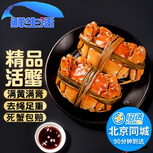 北京闪送 活蟹现货大闸蟹鲜活螃蟹河蟹公母3.5-4.5两10只顺丰包邮